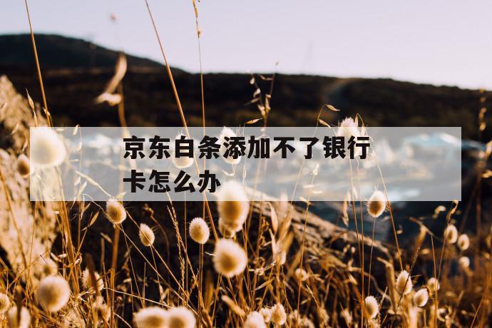 京东白条添加不了银行卡怎么办 第1张 京东白条添加不了银行卡怎么办 第1张
