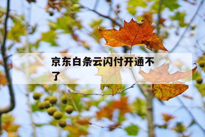 京东白条云闪付开通不了 第1张 京东白条云闪付开通不了 第1张