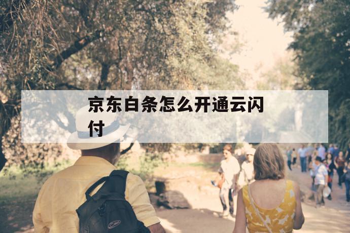 京东白条怎么开通云闪付 第1张 京东白条怎么开通云闪付 第1张