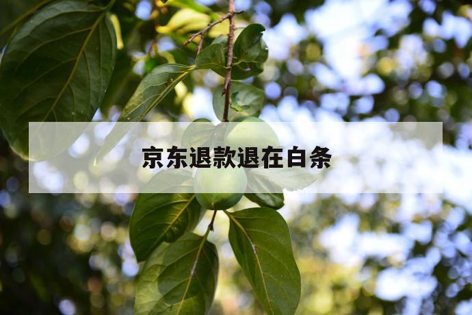 京东退款退在白条 第1张 京东退款退在白条 第1张