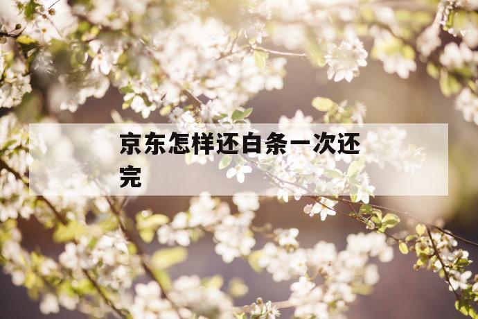 京东怎样还白条一次还完 第1张 京东怎样还白条一次还完 第1张