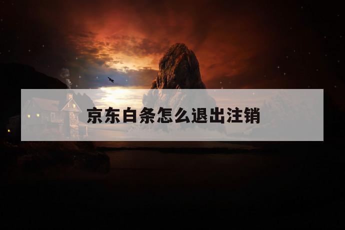 京东白条怎么退出注销 第1张 京东白条怎么退出注销 第1张