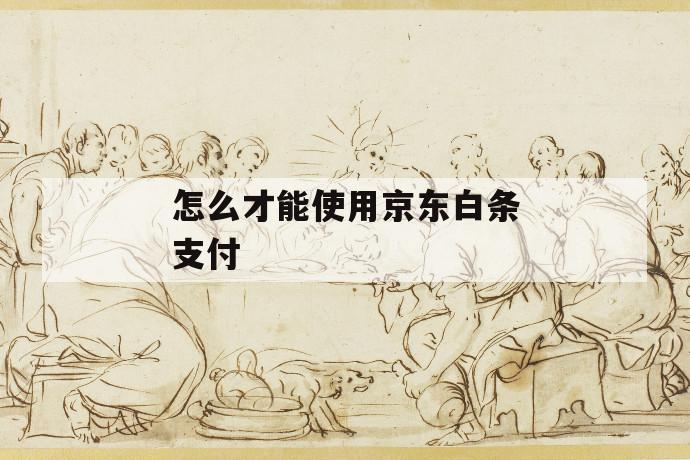 怎么才能使用京东白条支付 第1张 怎么才能使用京东白条支付 第1张