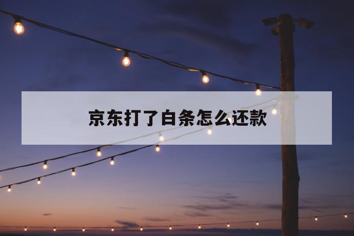 京东打了白条怎么还款 第1张 京东打了白条怎么还款 第1张