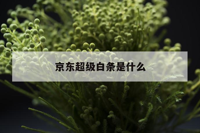 京东超级白条是什么 第1张 京东超级白条是什么 第1张