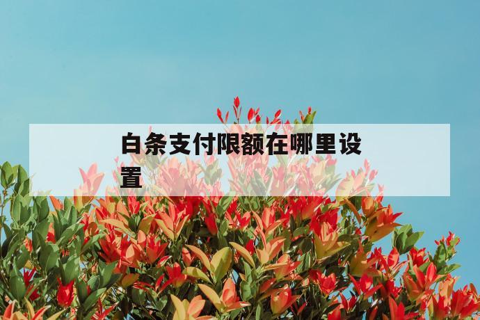 白条支付限额在哪里设置 第1张 白条支付限额在哪里设置 第1张
