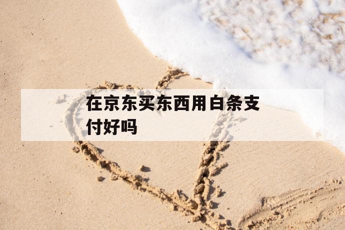 在京东买东西用白条支付好吗 第1张 在京东买东西用白条支付好吗 第1张