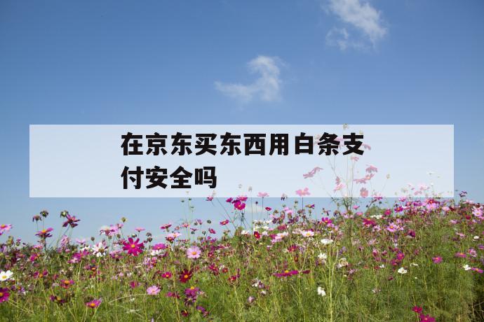 在京东买东西用白条支付安全吗 第1张 在京东买东西用白条支付安全吗 第1张
