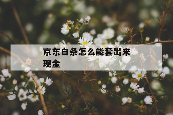 京东白条怎么能套出来现金 第1张 京东白条怎么能套出来现金 第1张