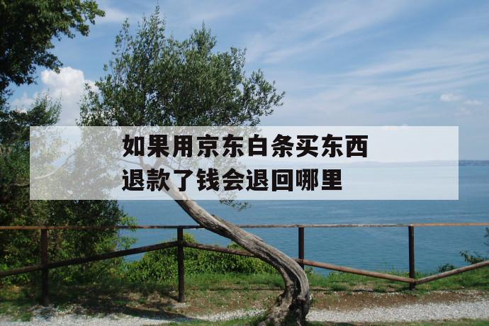 如果用京东白条买东西退款了钱会退回哪里 第1张 如果用京东白条买东西退款了钱会退回哪里 第1张