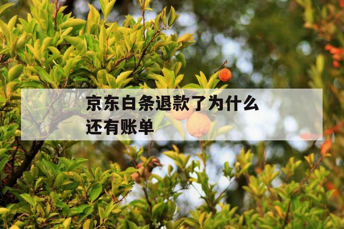 京东白条退款了为什么还有账单 第1张 京东白条退款了为什么还有账单 第1张