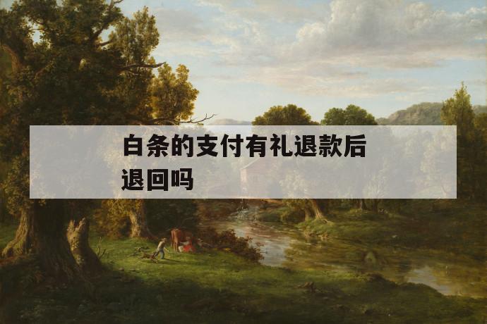 白条的支付有礼退款后退回吗 第1张 白条的支付有礼退款后退回吗 第1张