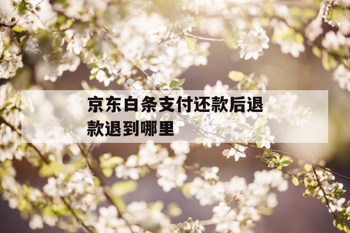京东白条支付还款后退款退到哪里 第1张 京东白条支付还款后退款退到哪里 第1张