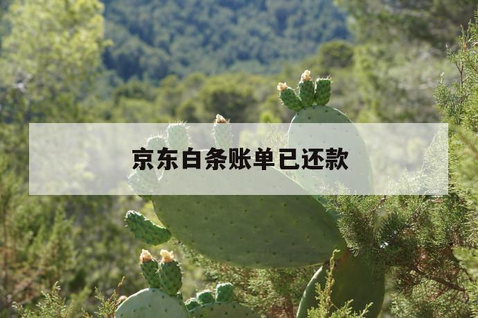 京东白条账单已还款 第1张 京东白条账单已还款 第1张