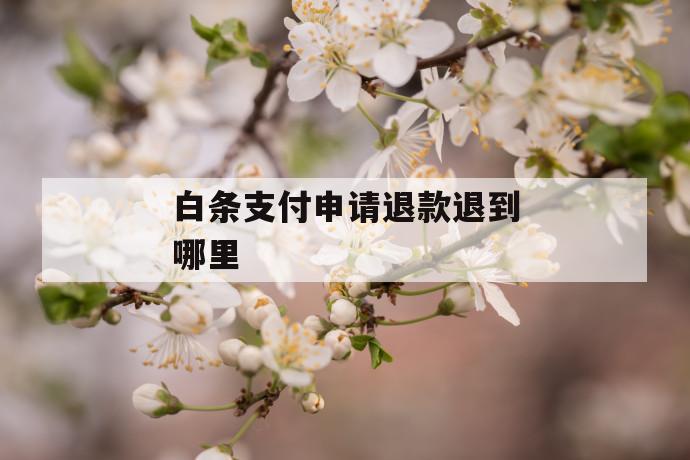 白条支付申请退款退到哪里 第1张 白条支付申请退款退到哪里 第1张
