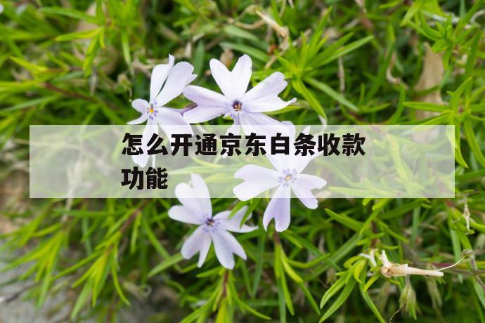 怎么开通京东白条收款功能 第1张 怎么开通京东白条收款功能 第1张