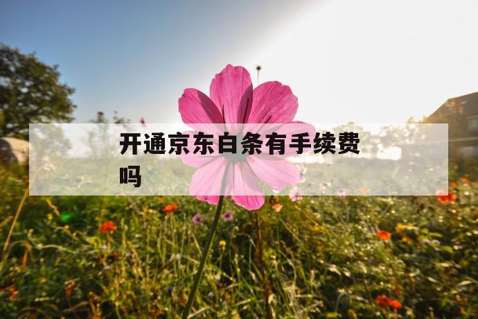 开通京东白条有手续费吗 第1张 开通京东白条有手续费吗 第1张