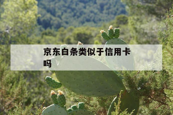 京东白条类似于信用卡吗 第1张 京东白条类似于信用卡吗 第1张
