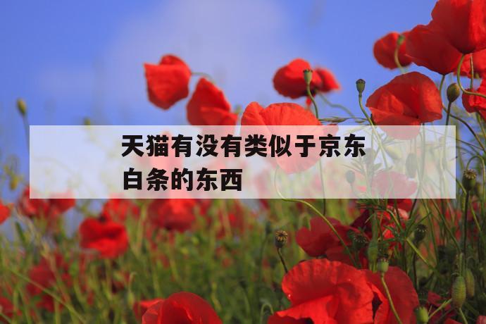 天猫有没有类似于京东白条的东西 第1张 天猫有没有类似于京东白条的东西 第1张