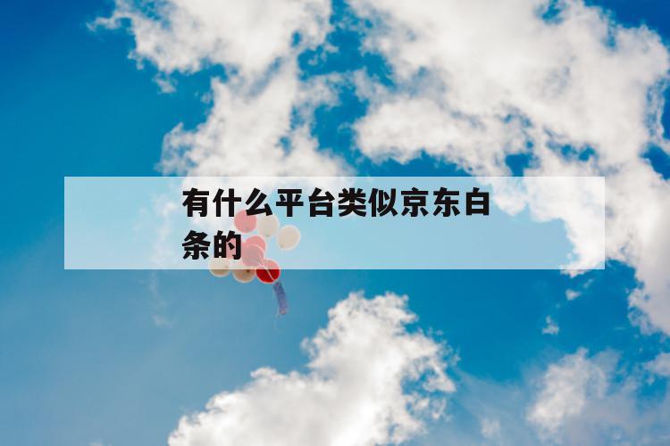 有什么平台类似京东白条的 第1张 有什么平台类似京东白条的 第1张