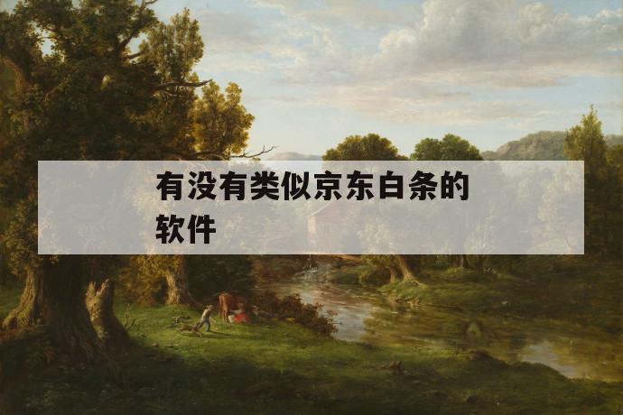 有没有类似京东白条的软件 第1张 有没有类似京东白条的软件 第1张
