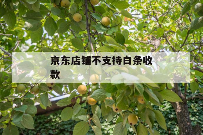 京东店铺不支持白条收款 第1张 京东店铺不支持白条收款 第1张