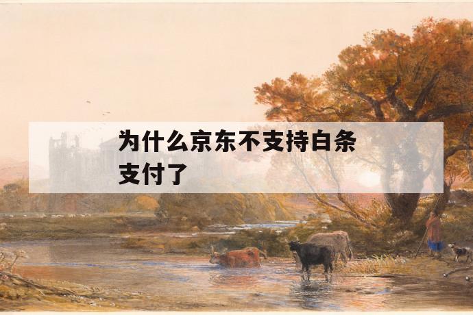 为什么京东不支持白条支付了 第1张 为什么京东不支持白条支付了 第1张