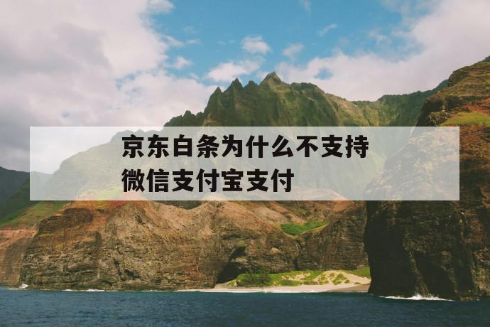 京东白条为什么不支持微信支付宝支付 第1张 京东白条为什么不支持微信支付宝支付 第1张
