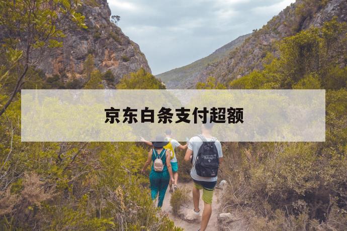 京东白条支付超额 第1张 京东白条支付超额 第1张