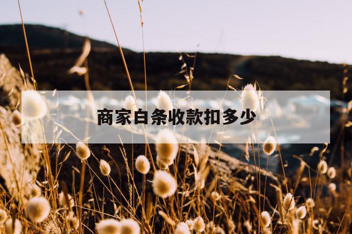 商家白条收款扣多少 第1张 商家白条收款扣多少 第1张