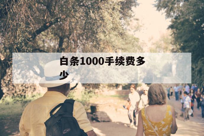 白条1000手续费多少 第1张 白条1000手续费多少 第1张