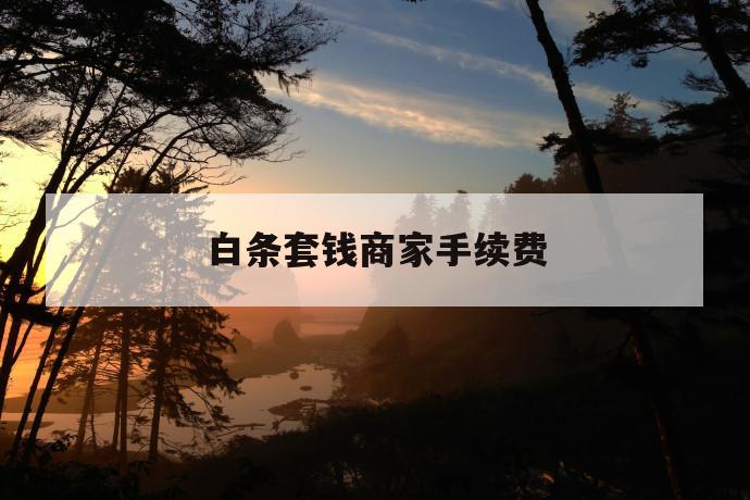 白条套钱商家手续费 第1张 白条套钱商家手续费 第1张
