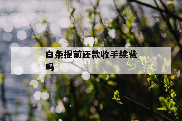 白条提前还款收手续费吗 第1张 白条提前还款收手续费吗 第1张