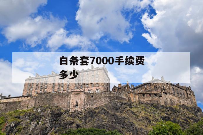 白条套7000手续费多少 第1张 白条套7000手续费多少 第1张