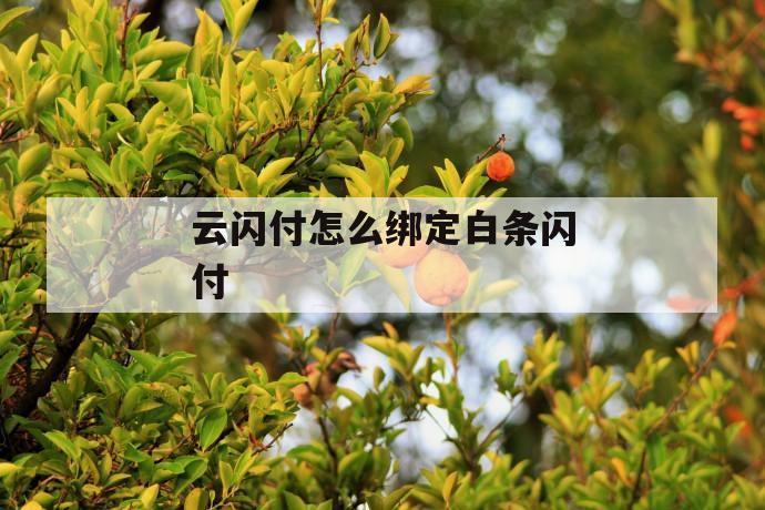 云闪付怎么绑定白条闪付 第1张 云闪付怎么绑定白条闪付 第1张