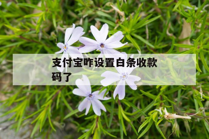 支付宝咋设置白条收款码了 第1张 支付宝咋设置白条收款码了 第1张