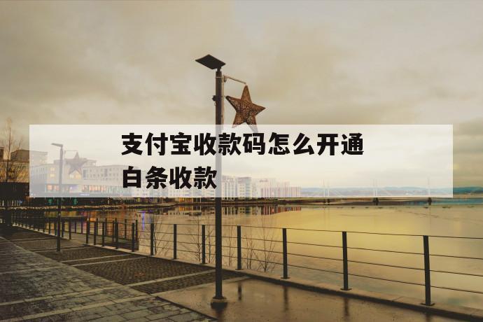 支付宝收款码怎么开通白条收款 第1张 支付宝收款码怎么开通白条收款 第1张