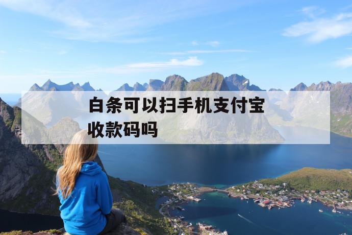 白条可以扫手机支付宝收款码吗 第1张 白条可以扫手机支付宝收款码吗 第1张