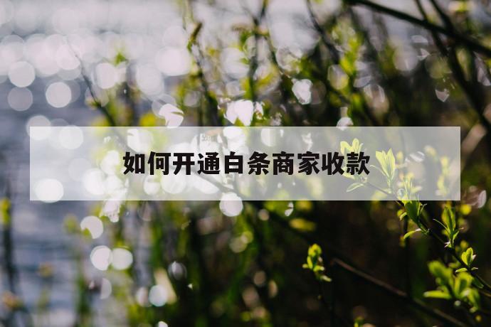 如何开通白条商家收款 第1张 如何开通白条商家收款 第1张