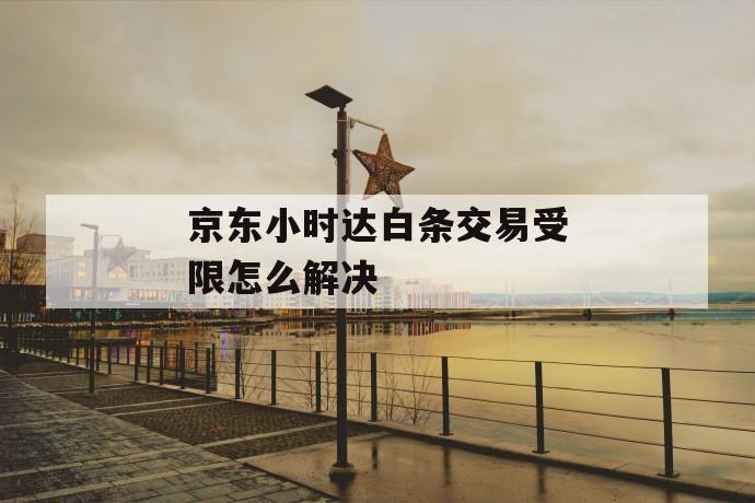 京东小时达白条交易受限怎么解决 第1张 京东小时达白条交易受限怎么解决 第1张
