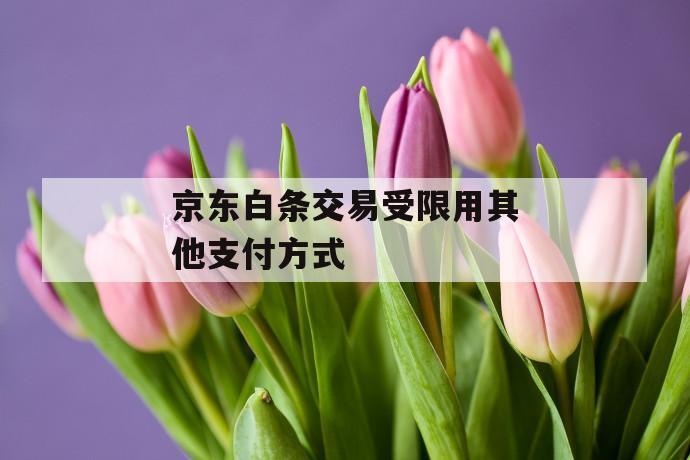 京东白条交易受限用其他凯发天生赢家一触即发官网的支付方式 第1张 京东白条交易受限用其他凯发天生赢家一触即发官网的支付方式 第1张