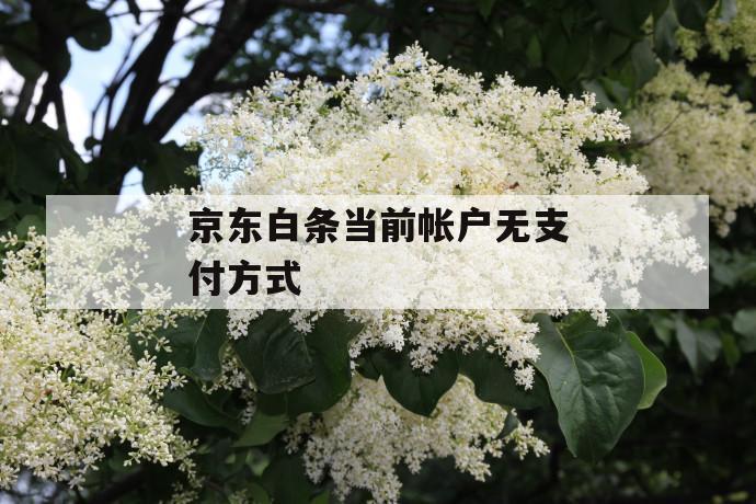 京东白条当前帐户无凯发天生赢家一触即发官网的支付方式 第1张 京东白条当前帐户无凯发天生赢家一触即发官网的支付方式 第1张