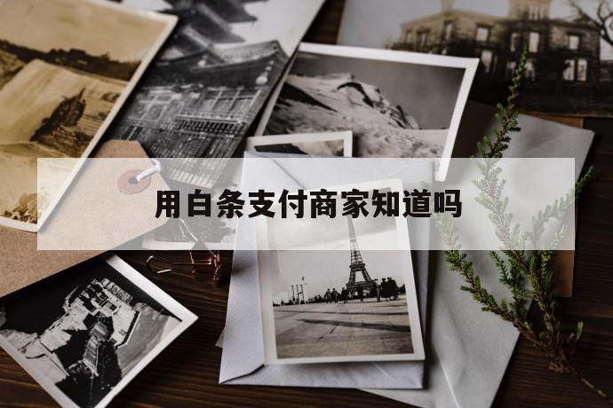用白条支付商家知道吗 第1张 用白条支付商家知道吗 第1张