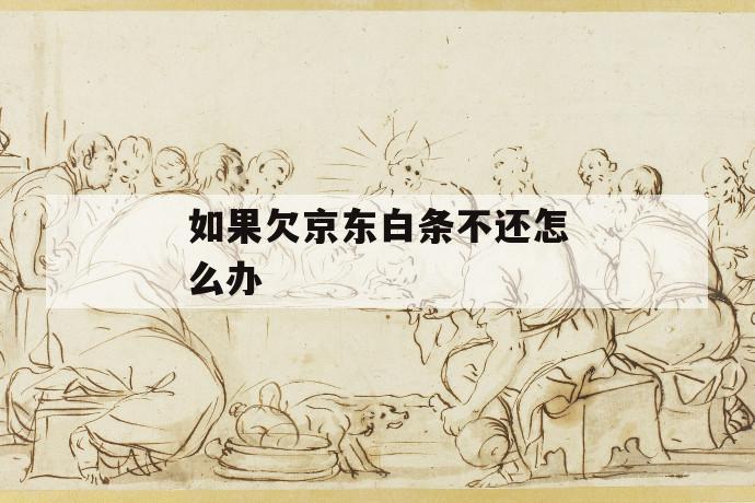 如果欠京东白条不还怎么办 第1张 如果欠京东白条不还怎么办 第1张