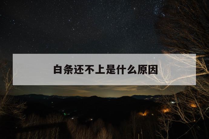 白条还不上是什么原因 第1张 白条还不上是什么原因 第1张