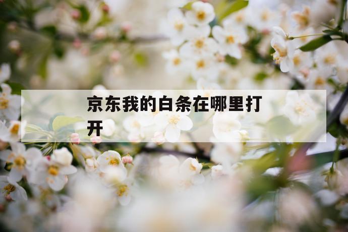 京东我的白条在哪里打开 第1张 京东我的白条在哪里打开 第1张