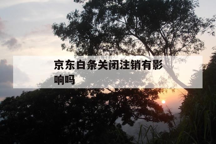 京东白条关闭注销有影响吗 第1张 京东白条关闭注销有影响吗 第1张