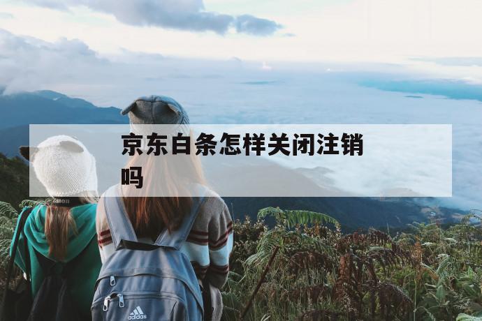 京东白条怎样关闭注销吗 第1张 京东白条怎样关闭注销吗 第1张