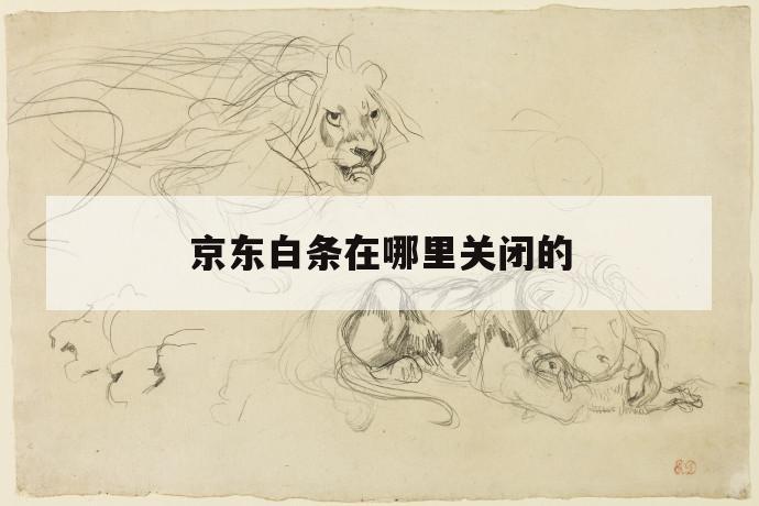 京东白条在哪里关闭的 第1张 京东白条在哪里关闭的 第1张