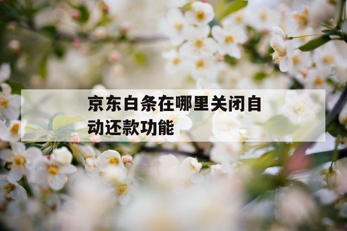 京东白条在哪里关闭自动还款功能 第1张 京东白条在哪里关闭自动还款功能 第1张